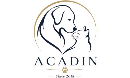 ACADIN logo